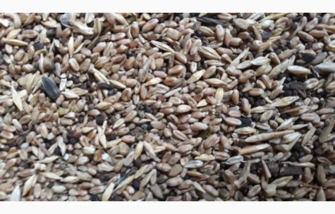 Продам зерносмесь