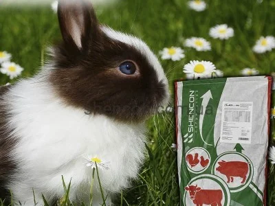 Витаминно-минеральный концентрат ShenMIX Rabbit Pro 2.5%