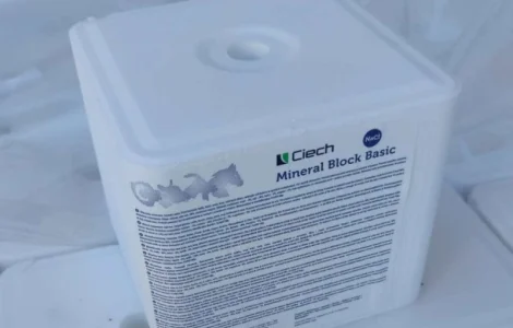 Продам сіль кормову