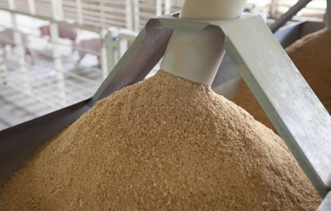 Соєва макуха від виробника