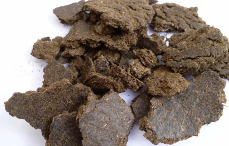 Куплю макуху соняшника на ЭКСПОРТ