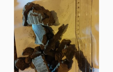 Макуха соняшника 32% протеїну у продажу