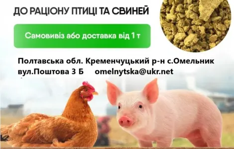 Продам Соєвый жмых