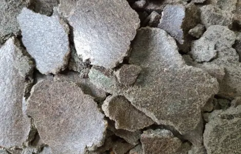 Продаємо макуху та олію соняшникову