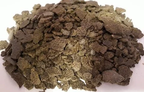 Купуємо ріпакову (рапсову) макуху (жмих) на експорт