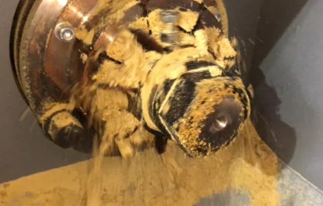 Продам Соєвий Жмих (шрот, макуха) - Протеїн 44%