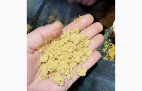 Продаємо Соєву макуху, шрот, олію, Соняшниковий шрот