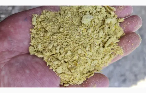 Жмых кукурузы/макуха
