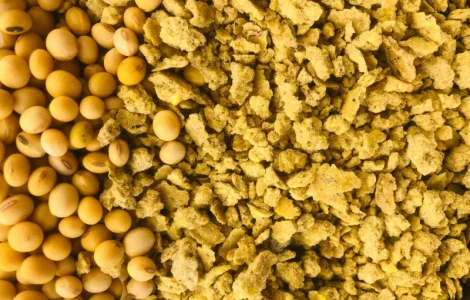 Продається макуха – натуральний корм для вашого господарства