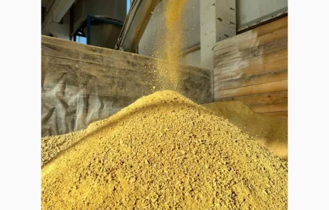 Макуха соева бегах