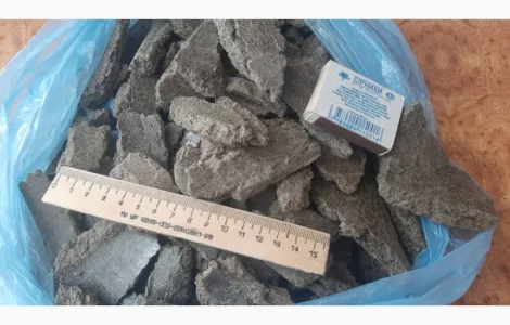 Макух соняшниковий