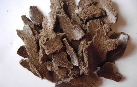 Макуха розторопшi, розторопша, жмых расторопши, макуха кoнoплі, кoнoпля