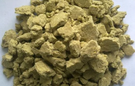 Макуха соняшникова