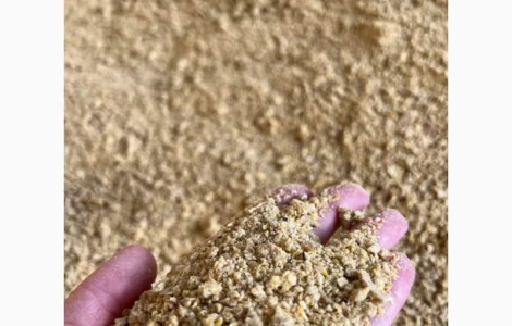 Польська компанія AgroTorg Sp. z o.o. закуповує макуху соєву (не ГМО) на ЕКСПОРТ