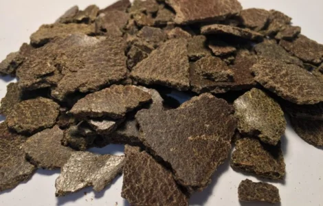 Польская фирма AgroTorg Sp. z o.o. закупает жмых рапсовый на ЭКСПОРТ