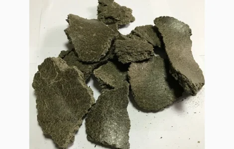 Макуха соняшникова