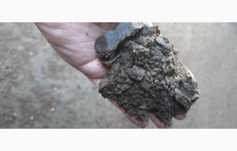 Продам жмых