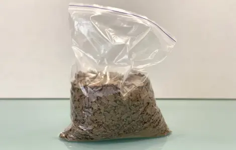Скупаем льняной жмых