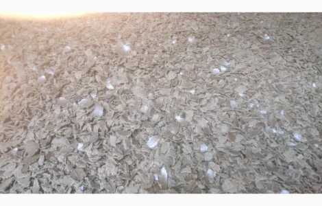 Куплю рапсовый жмых, макуху