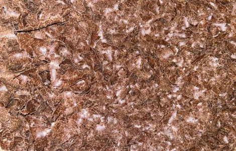 Макуха жмих р