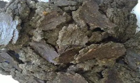 Продам жмых подсолнечный