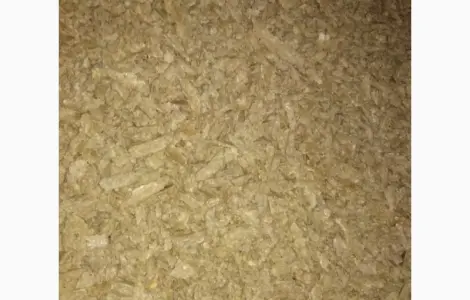 Продаємо макуху соєву від виробника