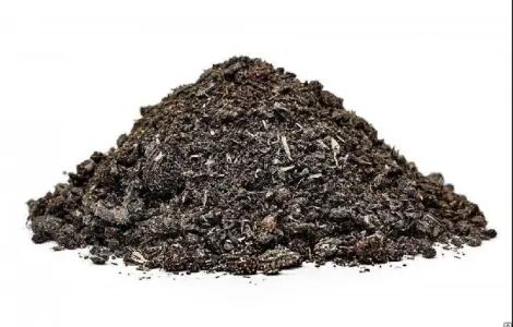 AgroTorg Sp. z o.o. закупаємо шрот соняшниковий на ЕКСПОРТ