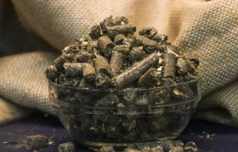 Польська фірма AgroTorg Sp. z o.o. закуповує шрот соняшниковий по всій Україні