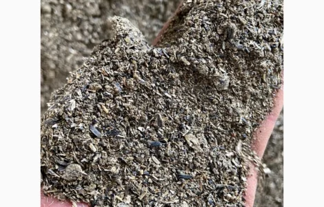 Шрот подсолнечника - продажа