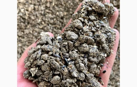 Шрот соняшника від виробника