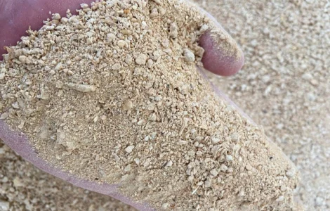 Шрот соєвий від виробника