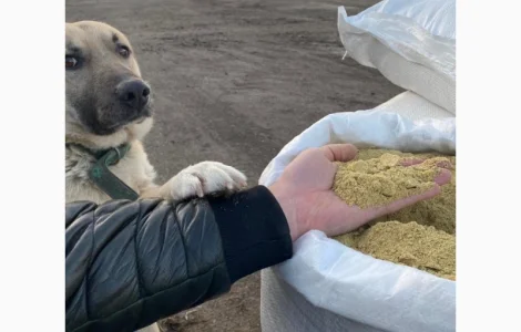 Продам соєвий шрот (жмих, макуха) з доставкою