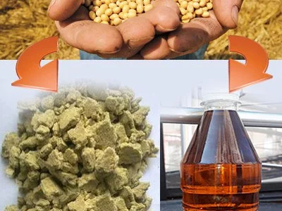 Соєвий шрот на експорт з України