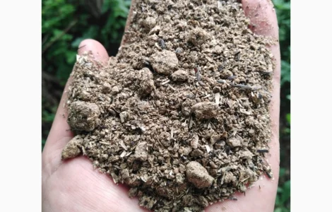 Куплю Шрот соняшниковий