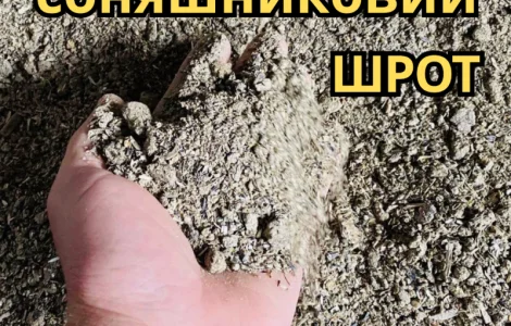 Продам подсолнечный шрот соняшняковый от 30кг самовывоз доставка
