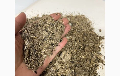 Доставка! Подсолнечниковый шрот – отличная альтернатива соевому шроту!