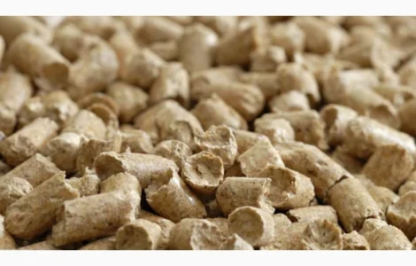 Куплю Соєвий Шрот на експорт, 46-53, 2 % протеїну