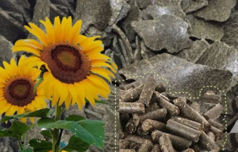 Шрот соняшника продам