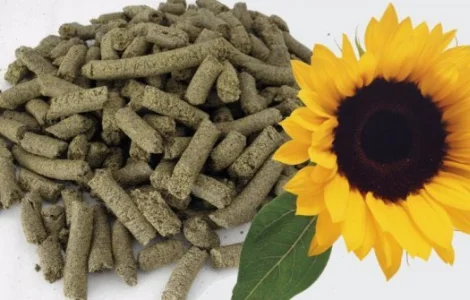 Продам шрот соняшниковий(ДСТУ)