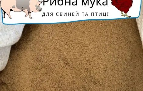 Пропонуємо якісне рибне борошно - протеїн 63-66%, 69-73%