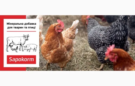 Сапокорм - добавка мінеральна кормова для птиці, 1 тона, мішки