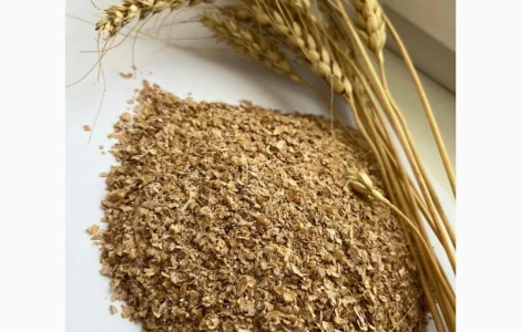 Пшенична висівка Продаж