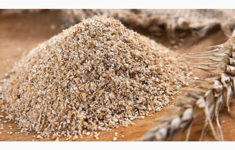 Fresh wheat bran for sale