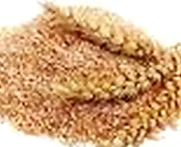 Отрубы пшеничные, жом гранулы 8500 с доставкой