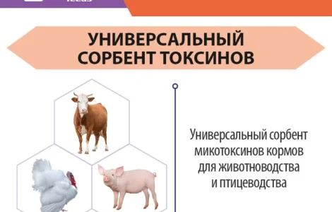 МикоСтоп ENZIM Feeds - Сорбент для животных и птицы