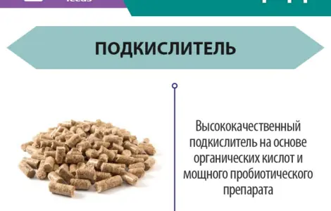 КомбиЦид ENZIM Feeds - Подкислювач корму для тварин і птиці