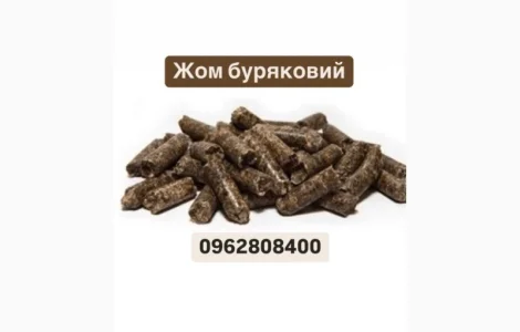 Жом свекловичный гранулированный