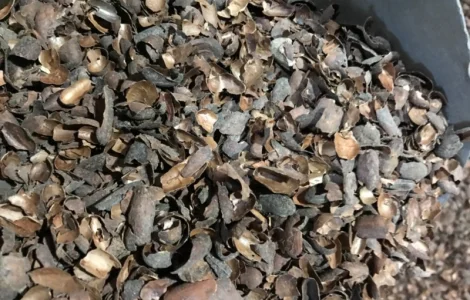 Продам какао велла шелуха