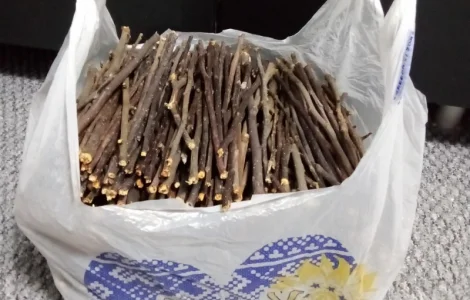 Корм для гризунів - гілки яблуні та верби