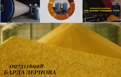 Подам барду післяспиртову суху DDGS з виробництва